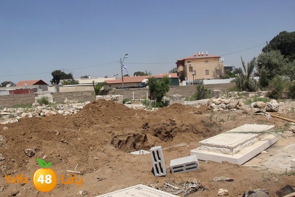 jaanzaa 0501 (7).JPG